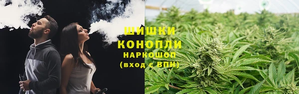 альфа пвп Медногорск