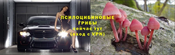 альфа пвп Медногорск