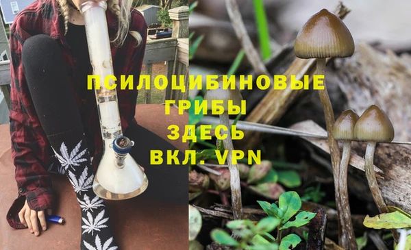 синтетический гашиш Медвежьегорск