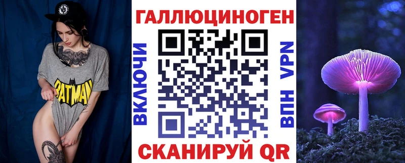 Галлюциногенные грибы Psilocybe  кракен зеркало  Звенигово 
